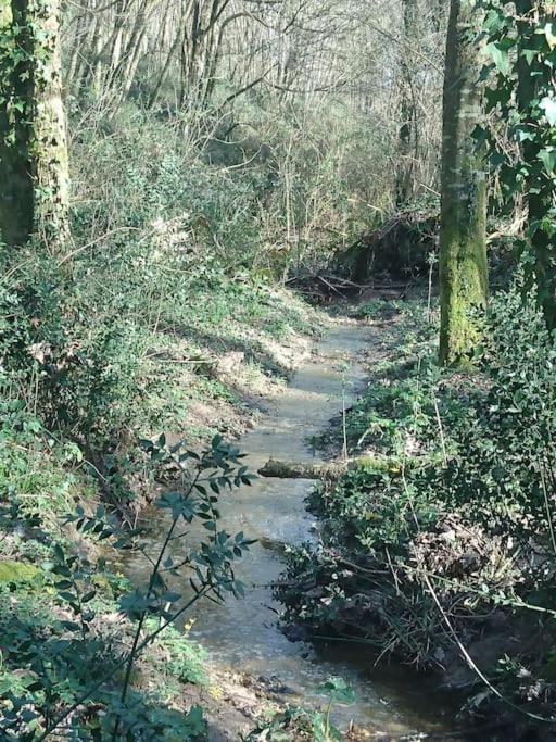 Noaillac Location Meublee Au Milieu D'Un Ecrin De Verdure Aux Vieux Fours מראה חיצוני תמונה
