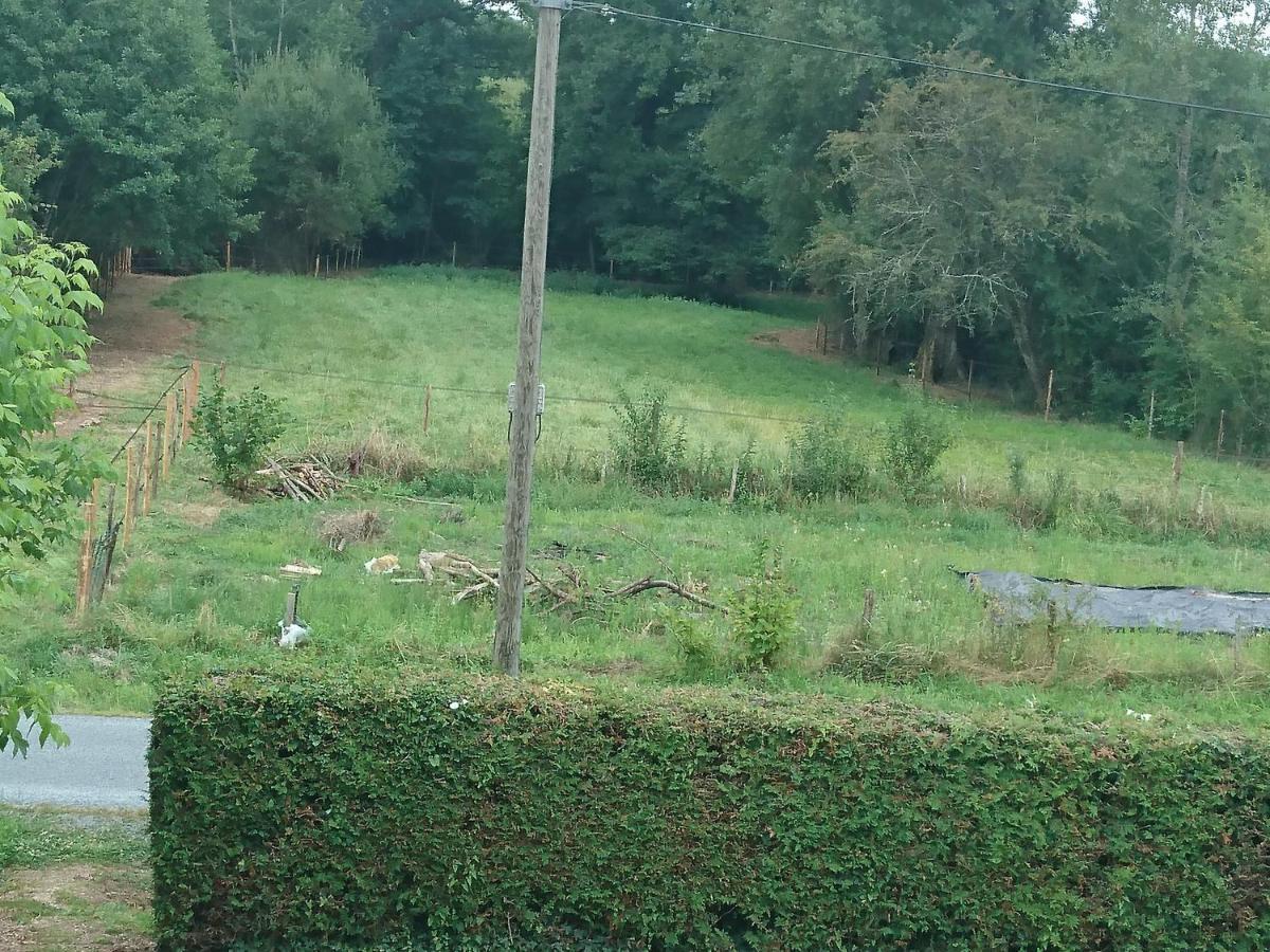 Noaillac Location Meublee Au Milieu D'Un Ecrin De Verdure Aux Vieux Fours מראה חיצוני תמונה